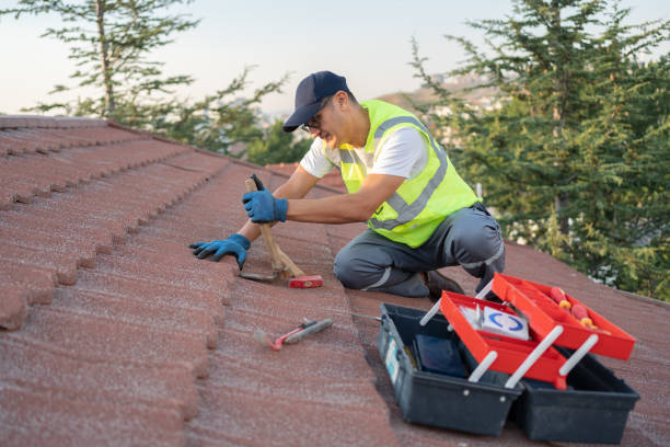 Best Roof Leak Repair  in Mcgraw, NY